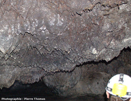 Stalactites de basalte au plafond d'un tunnel de lave, Gruta das Torres, île de Pico, Açores