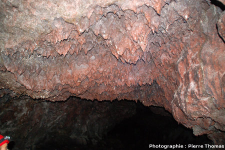 Stalactites rouges de basalte au plafond d'un tunnel de lave, Gruta das Torres, île de Pico, Açores