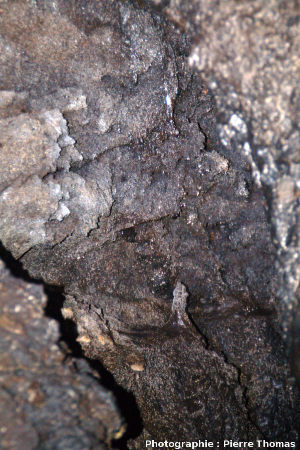 Stalactite et stalagmite de basalte superposées dans un tunnel de lave, Gruta das Torres, île de Pico, Açores