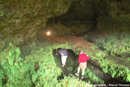 Tunnels de lave superposés, visibles au niveau d'une lucarne (tardive), Furna de Frei Matias, île de Pico, Açores