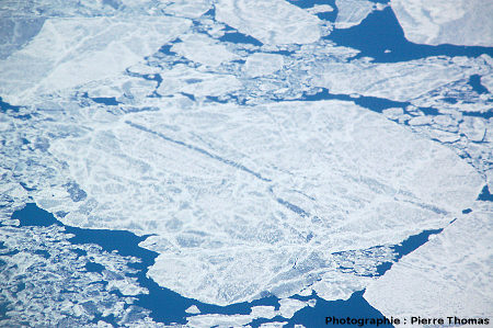Zoom sur la banquise en cours de dislocation, détroit de Davis, entre le Groenland et l'île de Baffin (Canada)