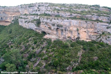 Discordance des calcaires sub-horizontaux de l'Éocène inférieur sur les grès pélitiques inclinés du Cambrien, canyon du Briant, Minerve (Hérault)