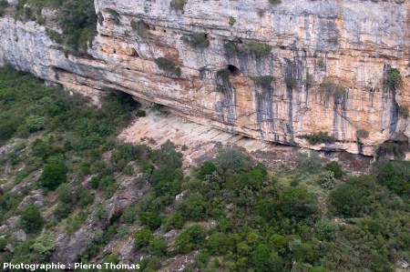 Zoom sur la discordance Éocène / Cambrien dans le canyon du Briant en amont de Minerve (Hérault)