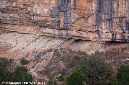 Vue rapprochée de la discordance Éocène / Cambrien dans le canyon du Briant en amont de Minerve (Hérault)