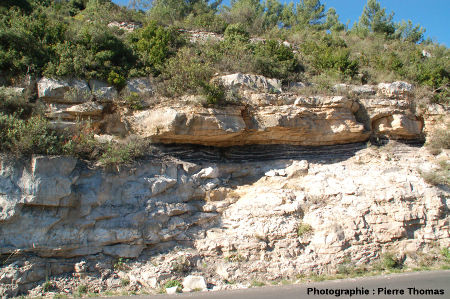 Vue d'ensemble de la couche de lignite à l'Ouest d'un virage localisé à 300 m de Minerve sur la D10 en direction de La Caunette (Hérault)