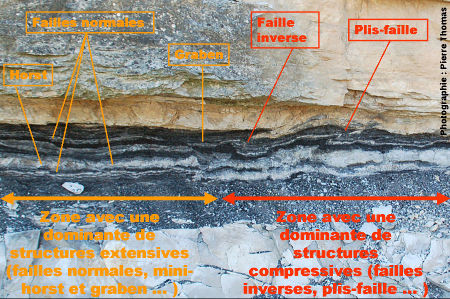 Schéma interprétatif : association de structures compressives et de structures extensives dans les lignites de Minerve – La Caunette (Hérault)