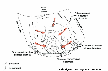 Interprétation cinématique des structures : tectonique de couverture gravitaire syn-sédimentaire, galerie du Boulevarve, la Grotte Sous Les Sangles (La Burbanche, Ain)