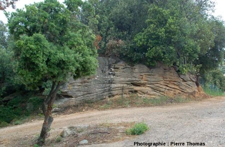 Stratifications obliques dans les grès du Cuisien (e4b) de La Caunette, Hérault
