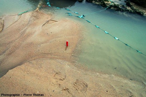 Mini-delta progradant dans un trou d'eau temporaire sur une plage à marée basse, Cap Gris Nez (Pas de Calais)