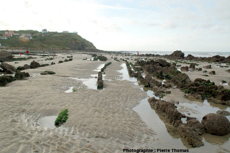 Zone sans charnières de plis visibles et où l'on ne voit que des couches verticales, plage du Cap Gris-Nez (Pas de Calais)