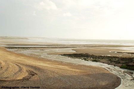 La double digue artificielle, recouverte à gauche par le cordon littoral, estuaire de la Slack (Pas de Calais)