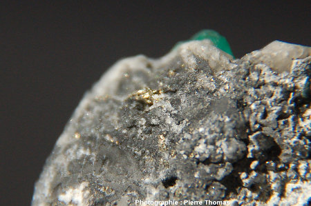 Mouchetures de pyrite (FeS2) au sein des argilites noires