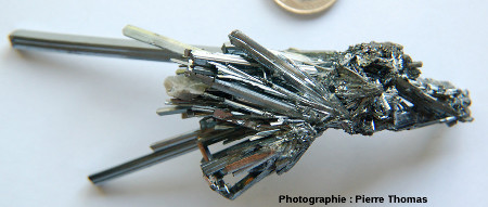 Échantillon de stibine avec ses cristaux aciculaires parfaitement automorphe