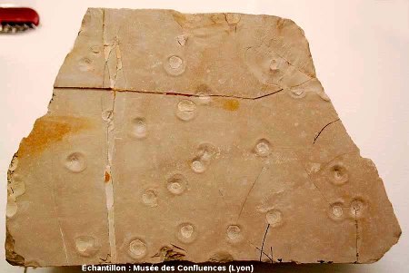 Autre dalle de calcaire lithographique présentant des traces de gouttes de pluie, Cerin (Ain)