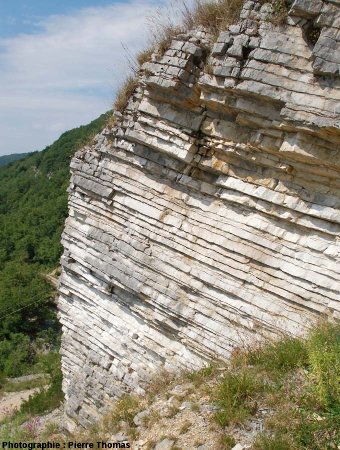 Détail de la stratification des calcaires sub-lithographiques de Cerin (Ain)