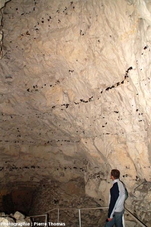 Bancs de « rognons » de silex dans la craie du Turonien supérieur – Coniacien, cité souterraine de Naours, Somme
