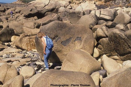 Gros bloc de granite contenant 3 enclaves anguleuses « intactes », côté Sud de l'île Milliau, Trébeurden, Côtes d'Armor