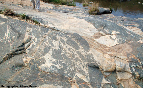 Brèche magmatique au contact entre le granite de Theespruit (en haut à gauche, couleur rosée) et son encaissant amphibolitique sombre, Elukwatini (Afrique du Sud)