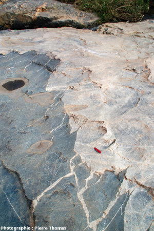 Le contact granite de Theespruit /amphibolite, là où la fragmentation est présente, mais limitée, Elukwatini (Afrique du Sud)
