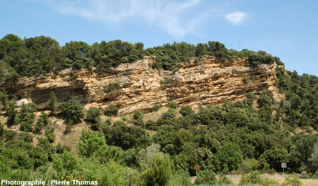 Vue générale de la falaise de Piolenc (Vaucluse)