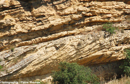 Détail de stratifications obliques progradantes, falaise de Piolenc (Vaucluse)
