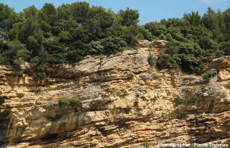 Détail de stratifications lenticulaires, falaise de Piolenc (Vaucluse)