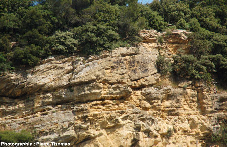 Détail de stratifications obliques progradantes, falaise de Piolenc (Vaucluse)