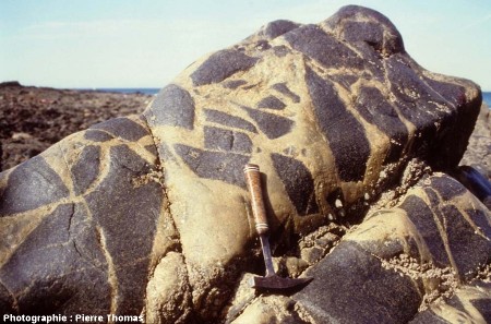 Brèche magmatique causée par l'intrusion de petites quantités de magma acide au sein d'un gabbro déjà cristallisé, plage de Saint Jean du Doigt (Finistère)