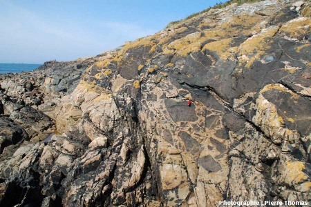 Gros plan sur la brèche magmatique au contact oriental du filon de plagiogranite, plage de Saint Jean du Doigt (Finistère)