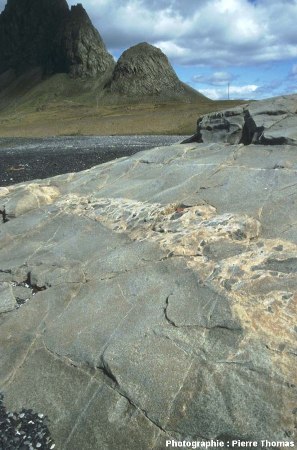 Filon de plagiogranite clair recoupant un gabbro tholéiitique plus sombre, plage de Reydhara, Islande