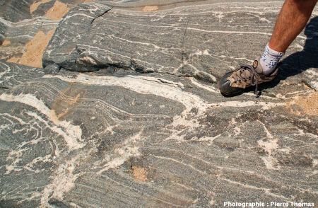 Migmatites basiques dans le lit de la Sand River, Afrique du Sud