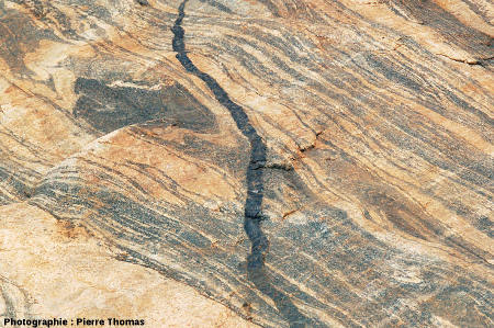 Dyke basaltique de 5 cm de large recoupant les migmatites de la Sand River, Afrique du Sud