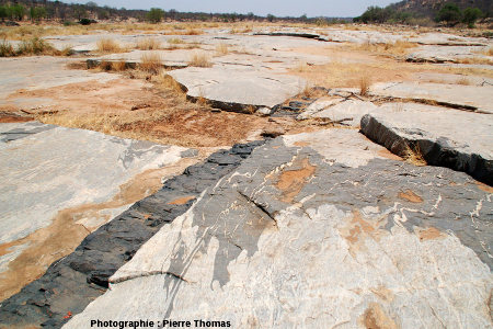 Dyke basaltique de 40 cm de large recoupant les migmatites de la Sand River, Afrique du Sud