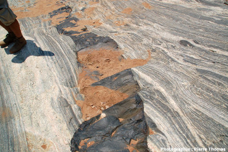 Dyke basaltique de 40 cm de large recoupant les migmatites de la Sand River, Afrique du Sud