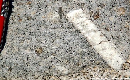 Vue de détail d'une enclave pluri-décimétrique, granite du Monte Capanne, Capo San Andrea, îled'Elbe, Italie