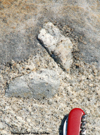Vue de détail d'une enclave métrique, granite du Monte Capanne, Capo San Andrea, îled'Elbe, Italie