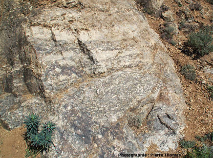 Détail montrant un mélange peu poussé entre les 2 faciès de granite, les Albas, commune de Felluns (Pyrénées Orientales)