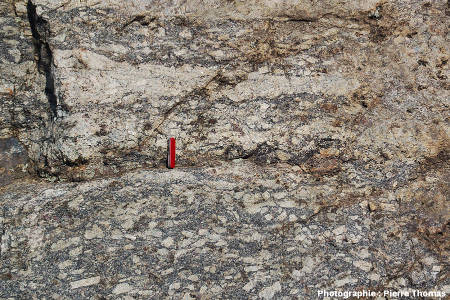 Autre détail montrant un mélange peu poussé entre les 2 faciès de granite, les Albas, commune de Felluns (Pyrénées Orientales)
