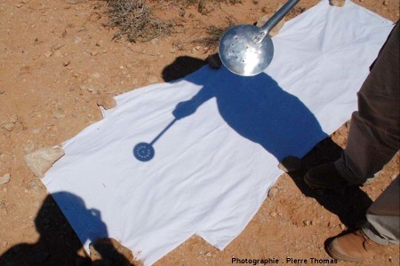 Dispositif optique permettant d'obtenir des images du Soleil pendant une éclipse (Égypte, 29 mars 2006)