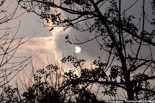 L'éclipse partielle de soleil du 4 janvier 2011 photographiée (sans filtre) à 10h05 (HLF) à travers les nuages depuis les jardins de l'ENS de Lyon