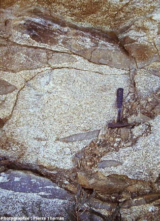 Un affleurement dans le faciès porphyroïde du granite de Quérigut-Millas, près de Vinça (Pyrénées Orientales)
