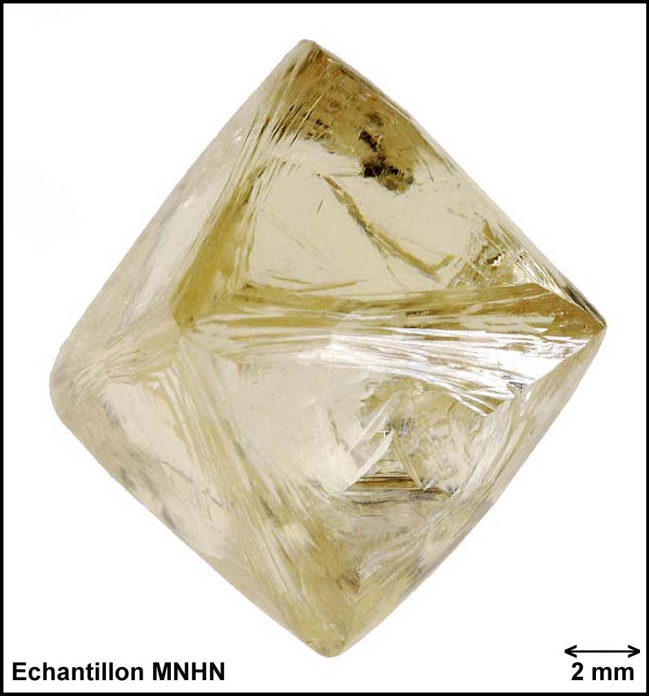De Brut en Brillant, 5 Précisions à Savoir sur les Diamants Naturels - Only  Natural Diamonds