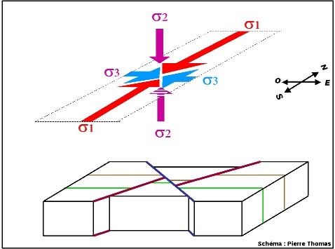 Représentation très simplifiée des structures tectoniques associées à un raccourcissement N-S et à une élongation E-O : décrochements conjugués dextres (en bleu) et sénestres (en rouge bordeaux)