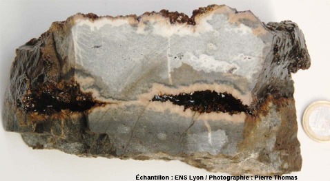 Petit bloc coupé en deux et présentant un joint de stratification avec recristallisation de dolomite, carrière de Loiras, Hérault
