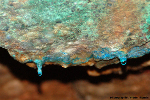 Zoom sur des mini-stalactites d'azurite, Cu3[(OH)(CO3)]2, en cours de croissance, ancienne mine de cuivre du Cap Garonne