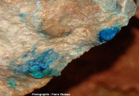 Zoom sur des mini-stalactites d'azurite, Cu3[(OH)(CO3)]2, débutant à peine leur croissance, ancienne mine de cuivre du Cap Garonne