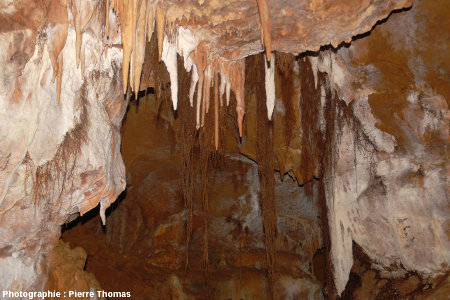 Un deuxième secteur du plafond de la grotte du Bosc, Saint-Antonin Noble-Val, Tarn et Garonne