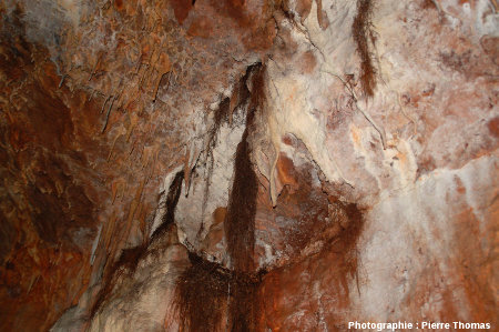 Un troisième secteur du plafond de la grotte du Bosc, Saint-Antonin Noble-Val, Tarn et Garonne