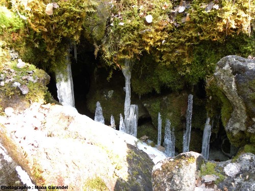Stalactites et stalagmites de glace dans des cavités au fond d'un « trou à glace » de la cheire du Puy de Côme
