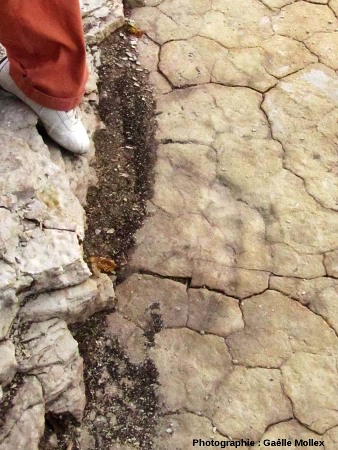 L'une des 3 empreintes de théropode de la deuxième piste découverte à Plagne lors des fouilles de 2011